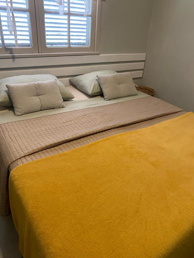 Solar 197 Guest house